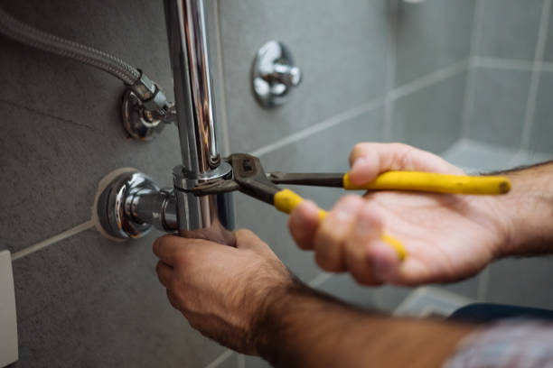 Best Residential Plumbing Services  in Douglas, MI